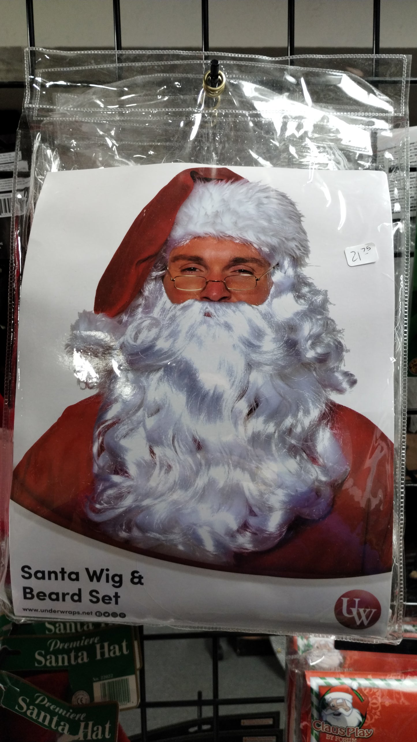Santa Wig and Beard Set