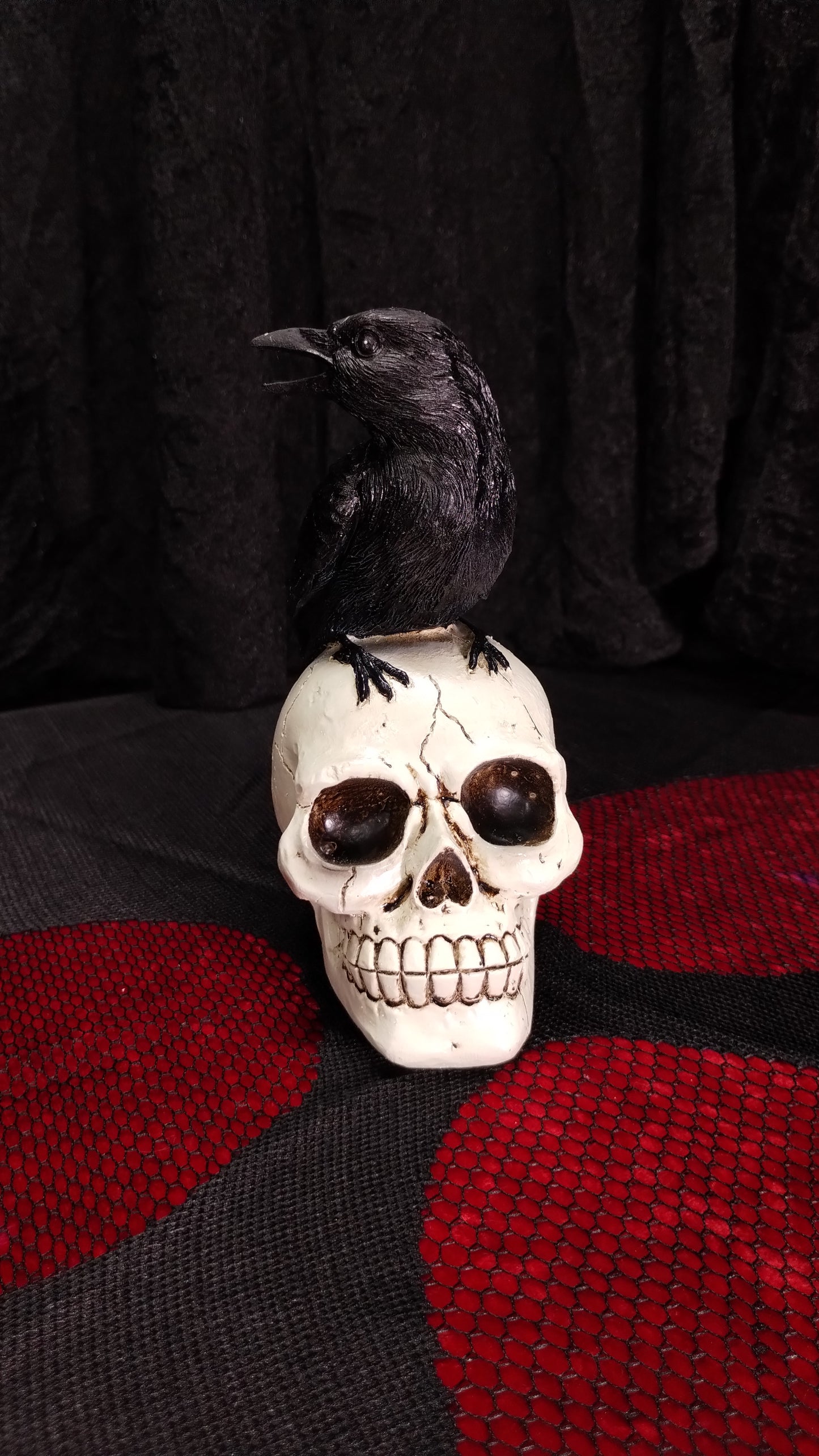 Skull With Crow