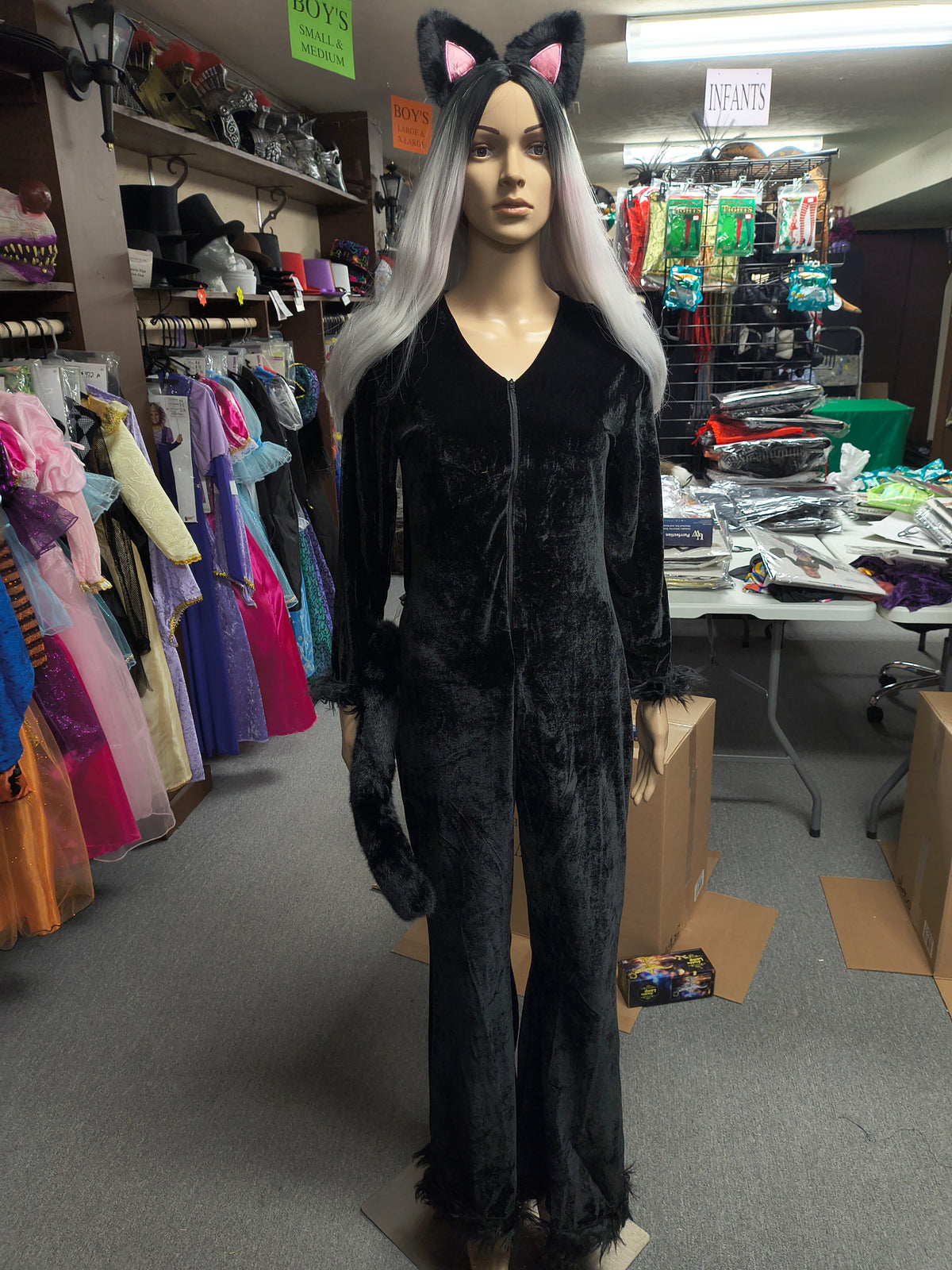 Purrfection