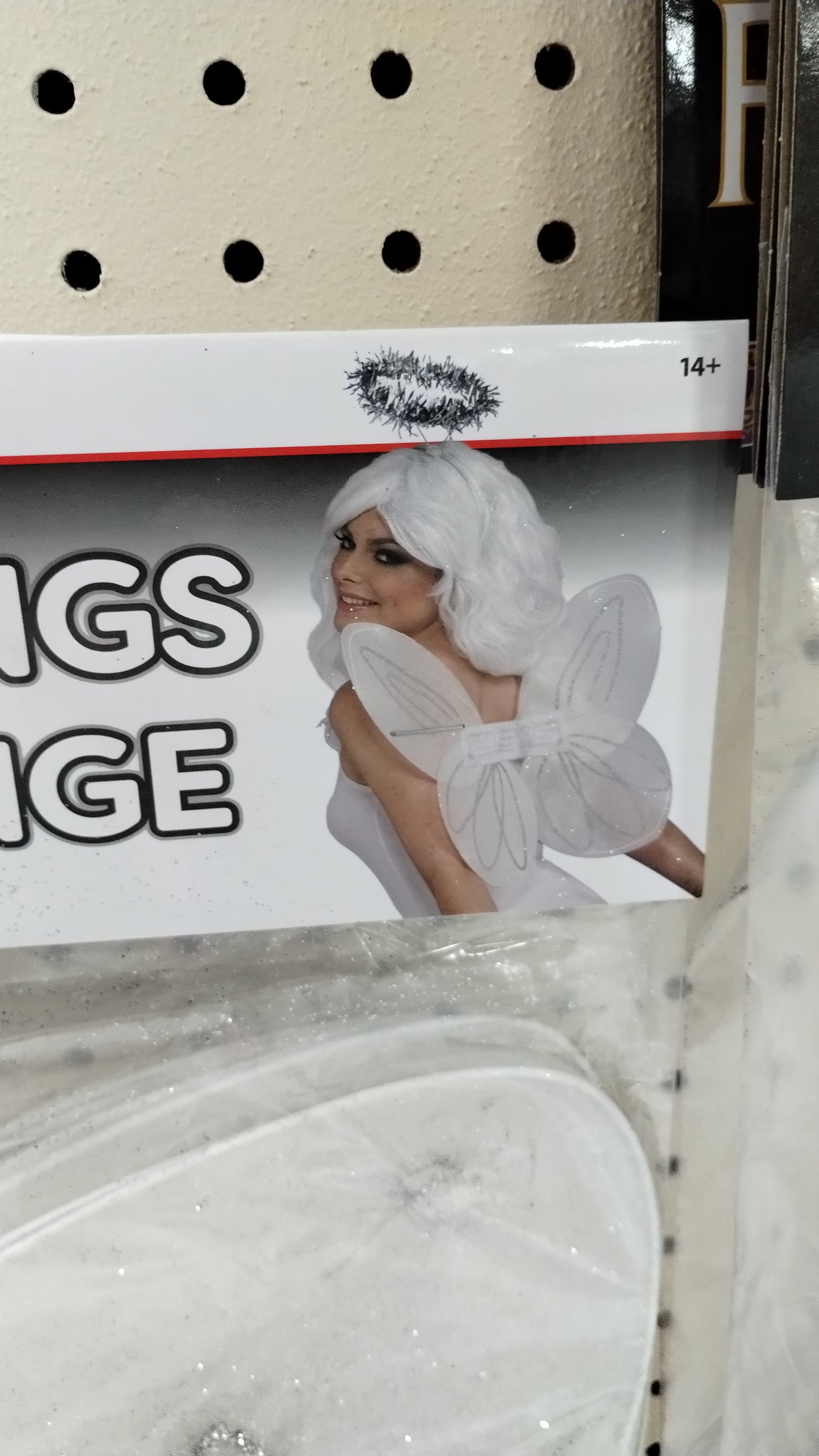 Angel/Butterfly Wings