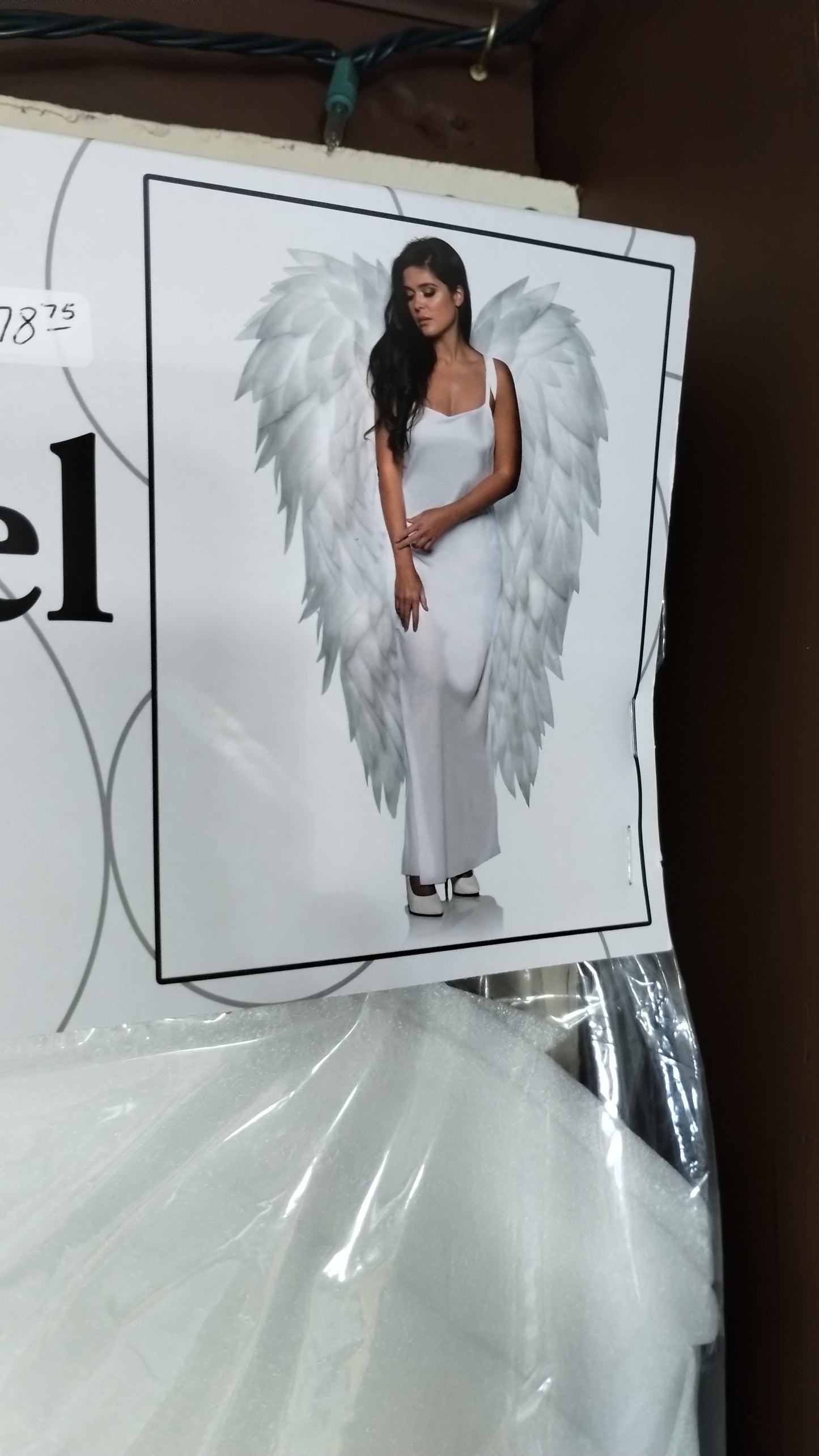 Full Length White Wings