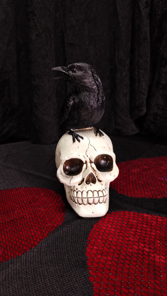 Skull With Crow