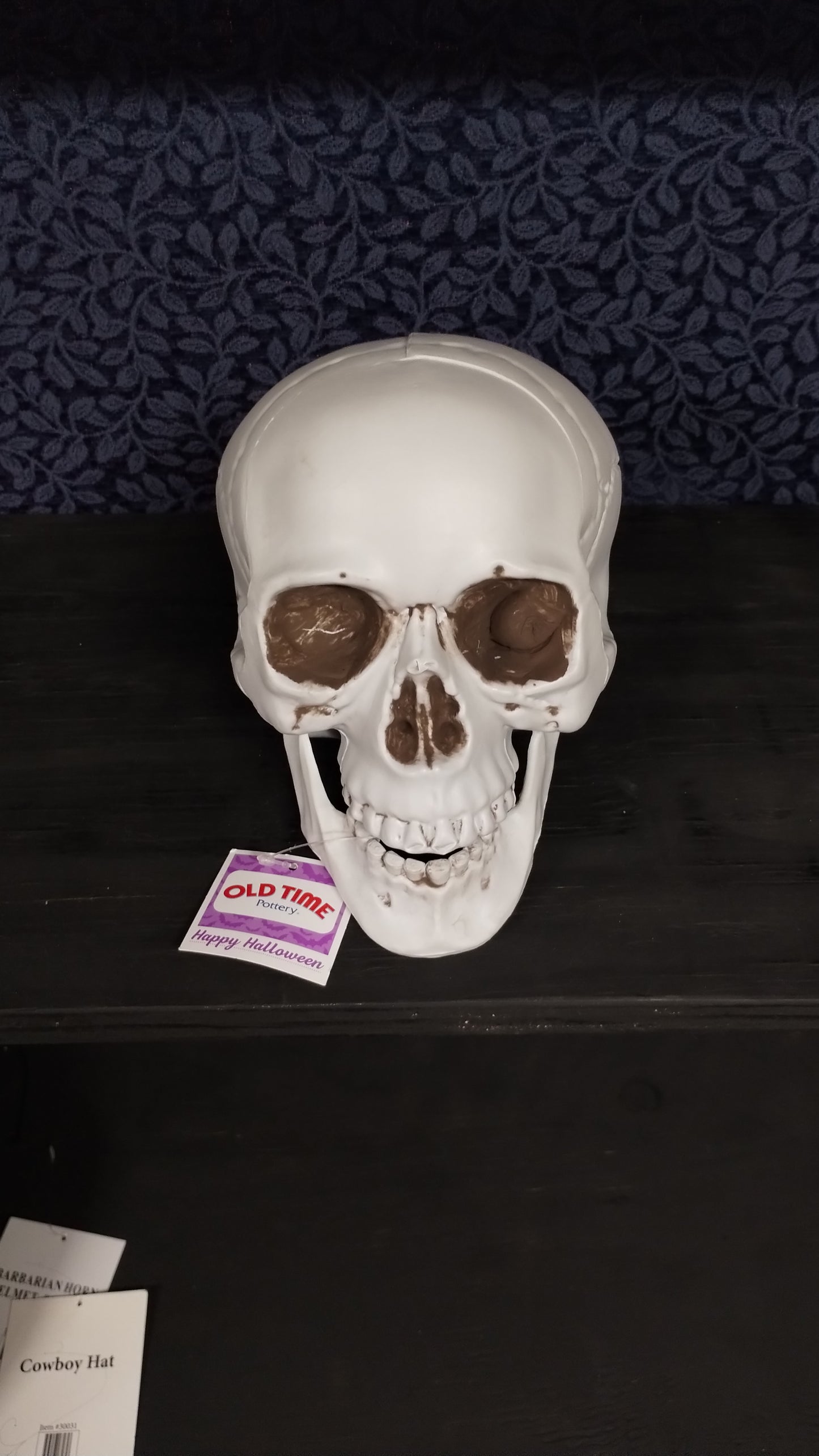 Plastic Skull