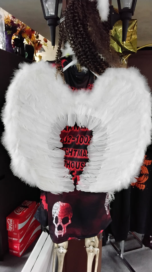 Angel Wings and Halo