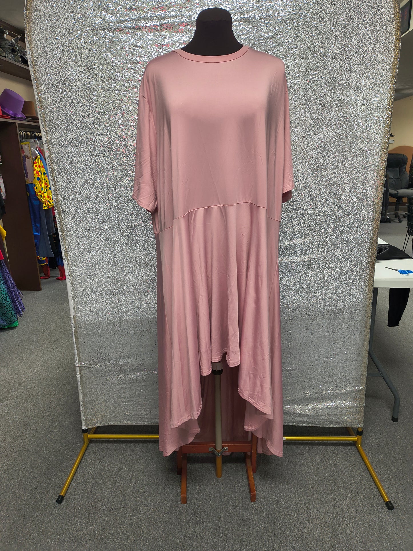 Pink Long Sleeve High-Low Dress (6X)