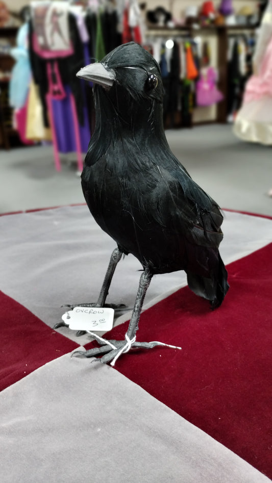 Crow