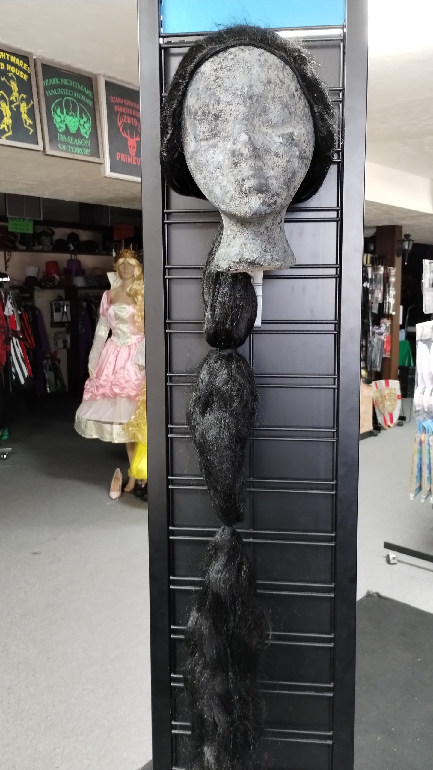 Long Warrior Wig