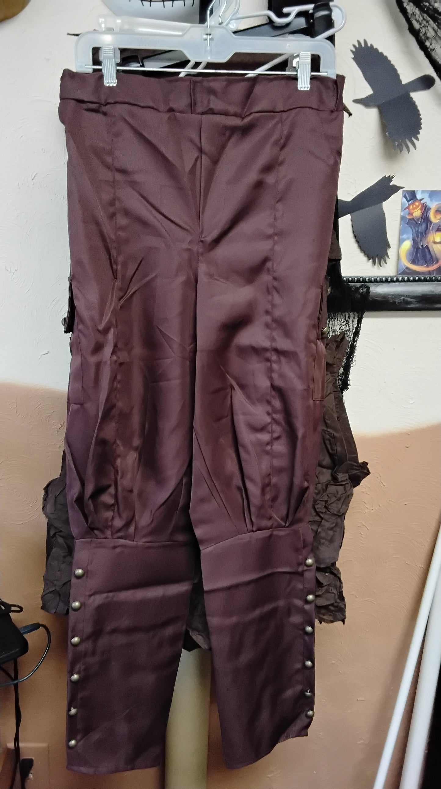 Steampunk  Pants - Brown (One Size)