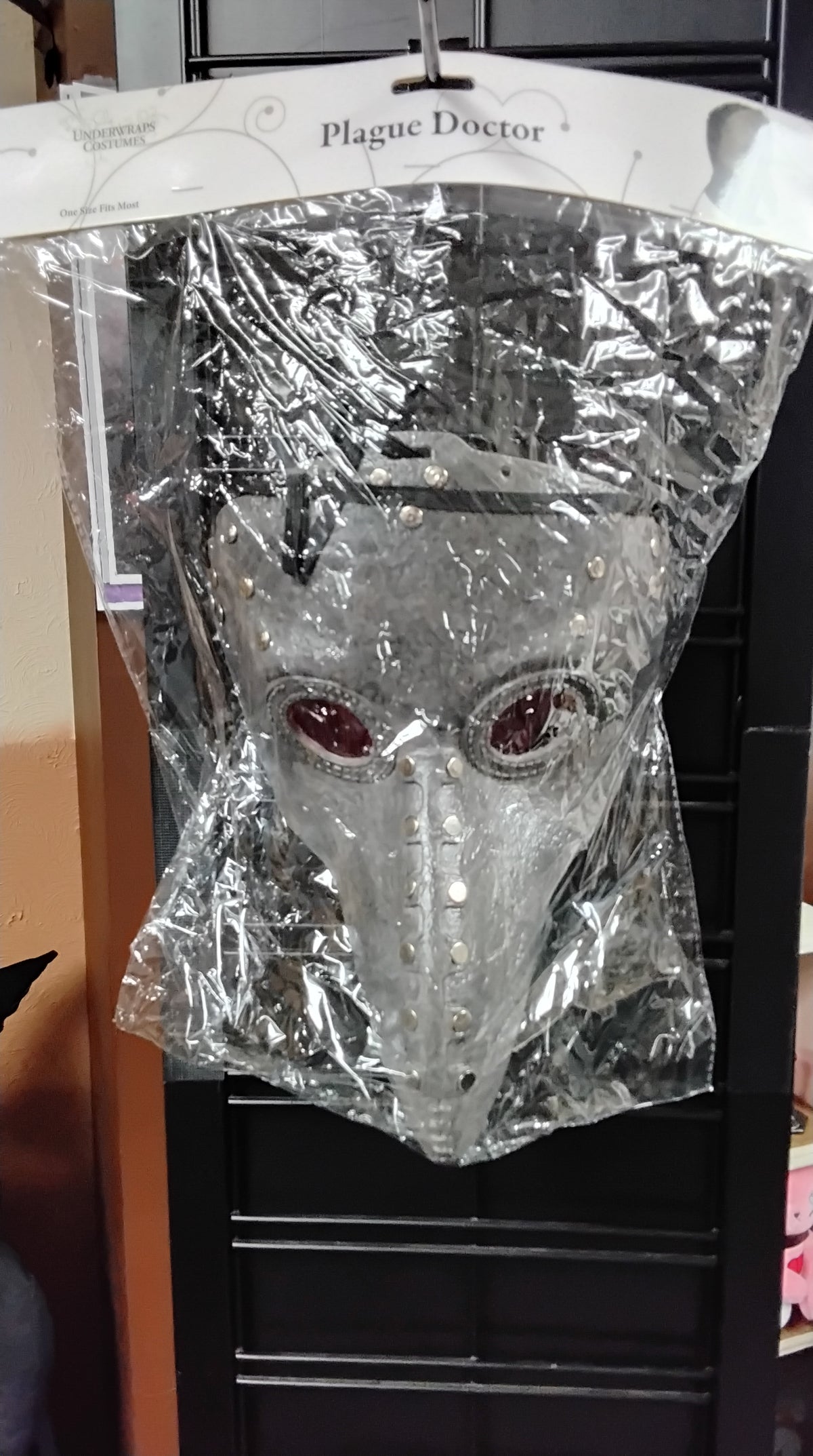 Plague Doctor Mask
