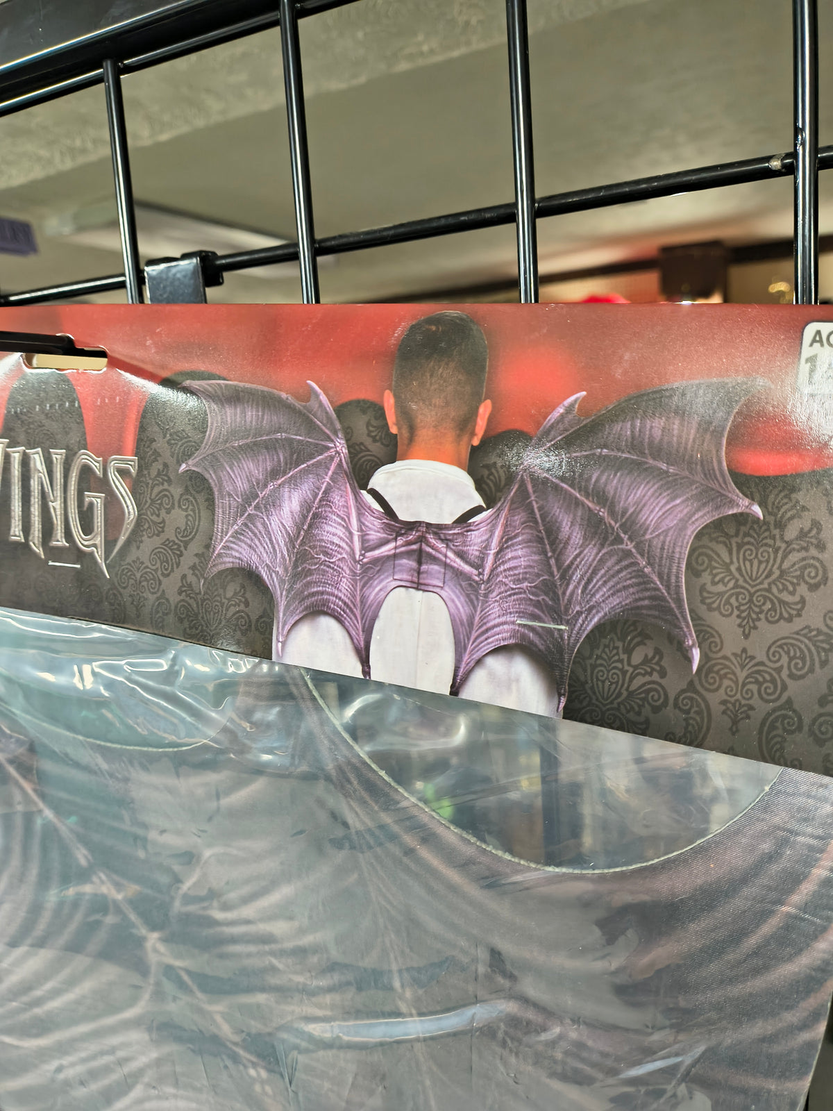 Vampire Bat Wings