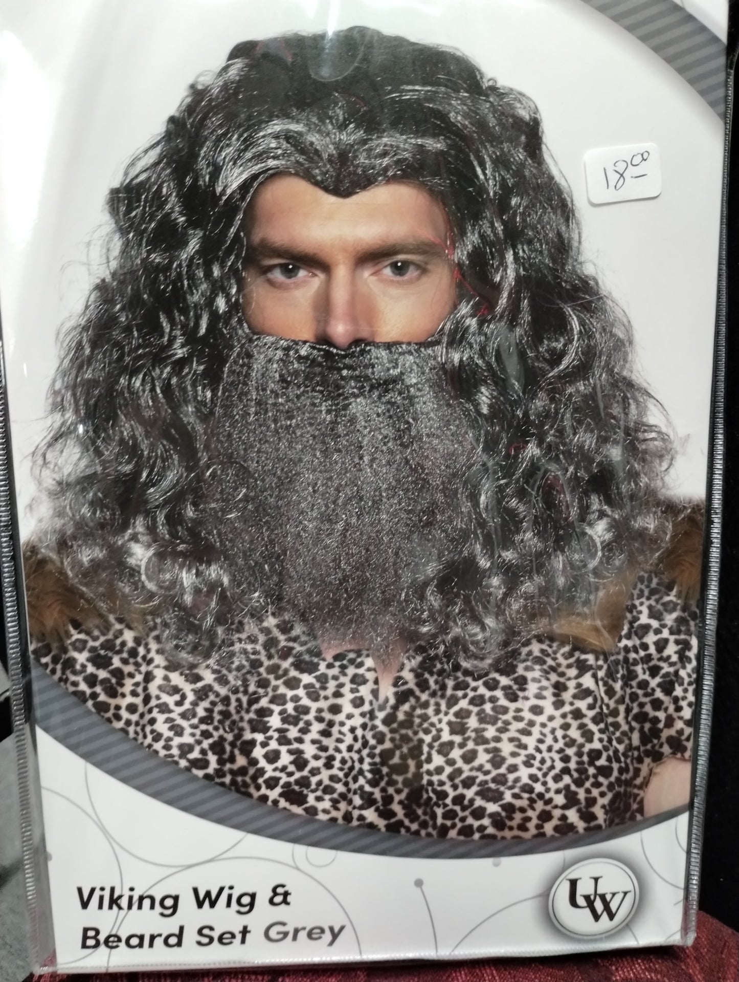 Viking Wig and Beard - Grey