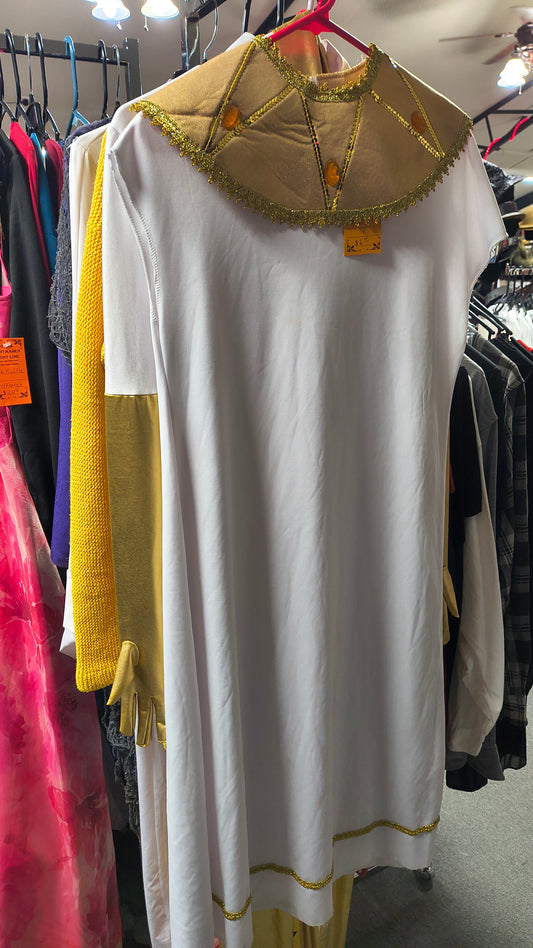 Gold Collar Robe - M