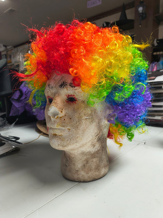 Rainbow Afro Wig