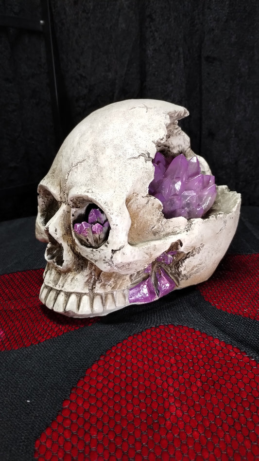 Skull w/ Crystals