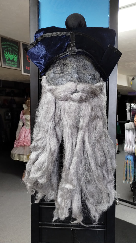 Nostradamus - Instant Disguise Kit